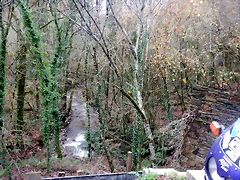 DSCN3107 DSCN3107