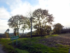 DSCN0522 DSCN0522