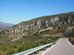 Bandereta (3)