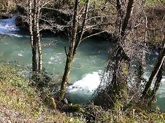 DSCN8019 DSCN8019