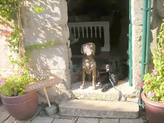 DSCN7650 DSCN7650