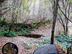DSCN8988 DSCN8988
