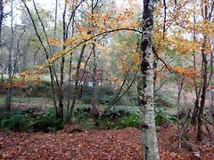 DSCN1262 DSCN1262