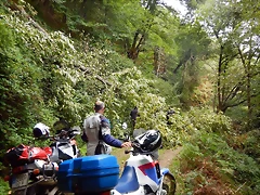 DSCN9807 DSCN9807