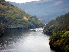 DSCN9935 DSCN9935