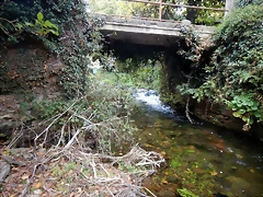 DSCN8337 DSCN8337