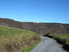 DSCN7994 DSCN7994