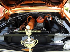SDC10450 SDC10450