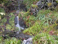 DSCN0657 DSCN0657