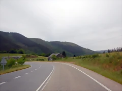 DSCN6547 DSCN6547