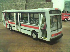 DinaCapreMetropolitano2