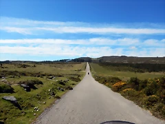 DSCN0136 DSCN0136