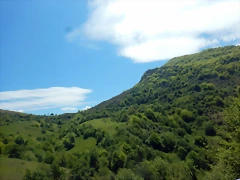 DSCN2687