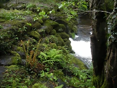 DSCN4177 DSCN4177
