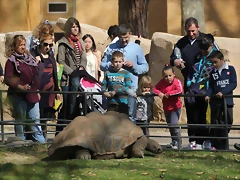Zoo de Barcelona 10-03-12 307 Zoo de Barcelona 10-03-12 307
