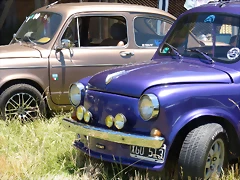 P1070797 P1070797