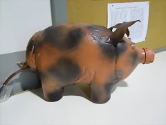 DSCN9343 DSCN9343