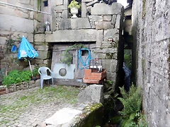 DSCN2109 DSCN2109