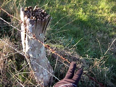 IMG_0511 IMG_0511