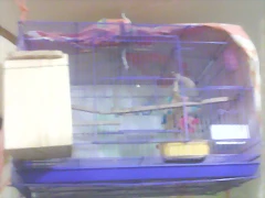 2014-05-30 19.54.55