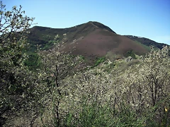 DSCF2516 DSCF2516
