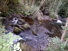 DSCN4382 DSCN4382