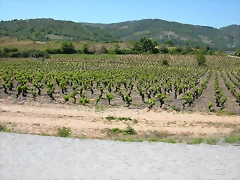 DSCN2636 DSCN2636