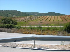 DSCN2635 DSCN2635