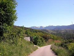 DSCN2748 DSCN2748