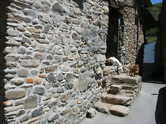 DSCN2687 DSCN2687