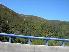 DSCN2791 DSCN2791