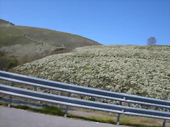 DSCN2803 DSCN2803