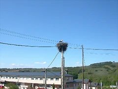 DSCN2721 DSCN2721