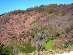 DSCN2610 DSCN2610