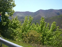 DSCN2612 DSCN2612