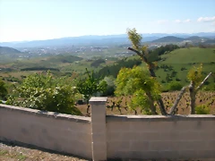 DSCN2771 DSCN2771