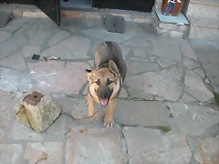 DSCN2617 DSCN2617