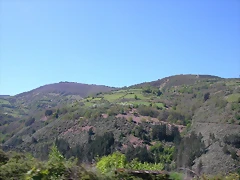 DSCN2599 DSCN2599