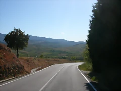 DSCN2772 DSCN2772