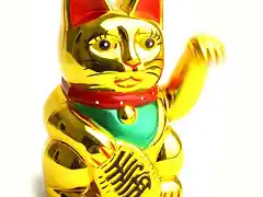 gato