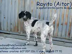 RAYITO