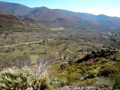 DSCN9375 DSCN9375