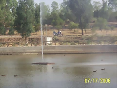 Imagen 080