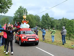 IMG_7006 IMG_7006