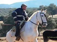 15, Jess en su yegua blanca, marca