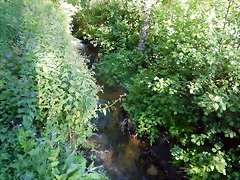DSCN2419