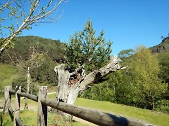 DSCN8998 DSCN8998