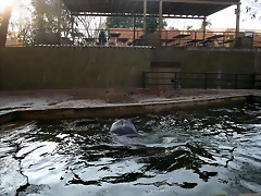 Zoo de Barcelona 11-12-2010 030 Zoo de Barcelona 11-12-2010 030