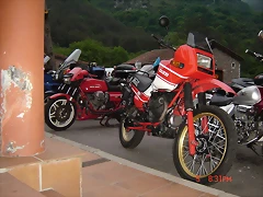 DSC04805 DSC04805