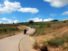 DSCN2985